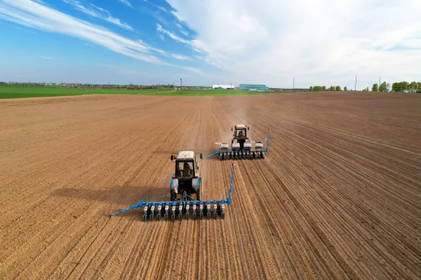 Tractor sowing seed on plowed field. Sowing seeds of corn and sunflower.