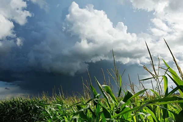 U.S. Farmers Look to More Variables in Weather