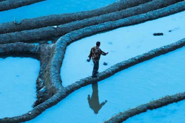 S&P Dow Jones Indices