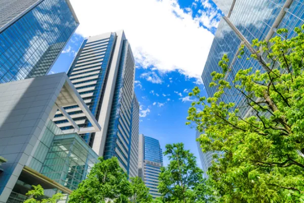 Asset Owners in Japan Series