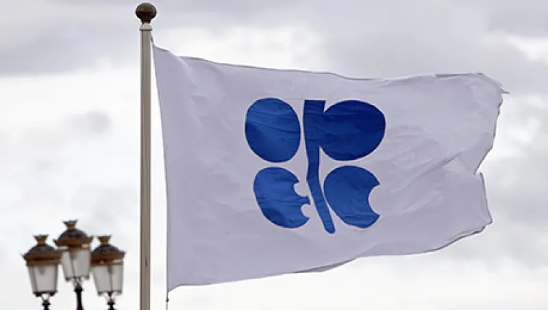 2014-11-da-opec-flag-large.jpg