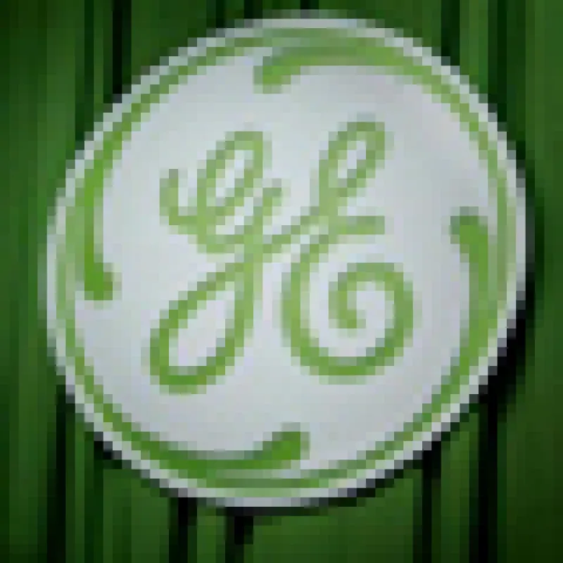 Immelt leads a discussion with business leaders at an Ecomagination news conference at Universal Studios in Los Angeles