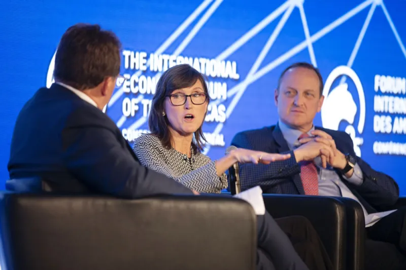 Catherine Wood, CEO of ARK Investment Management. (Christinne Muschi/Bloomberg)