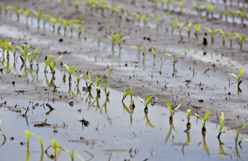 Daniel Acker/Bloomberg