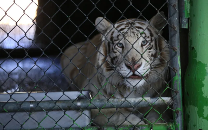 Matthew Staver/Bloomberg