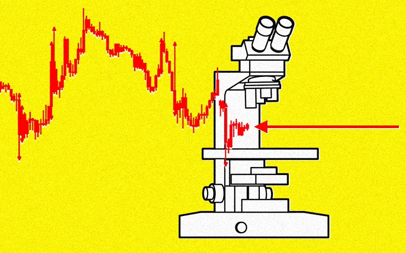 Illustration by II. Microscope icon by Lluisa Iborra for The Noun Project.