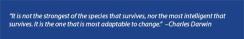 jennison-quote-darwin.jpg