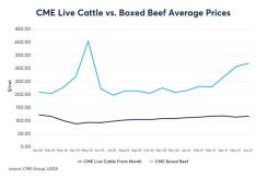Beef prices