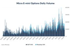 Micro Options